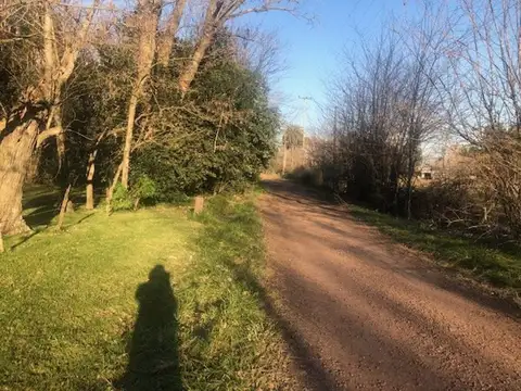 Terreno en Venta en Alejandro Petion, USD 69.000