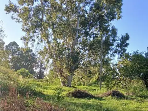 Venta | Lote en Arroyo Leyes | 439m2