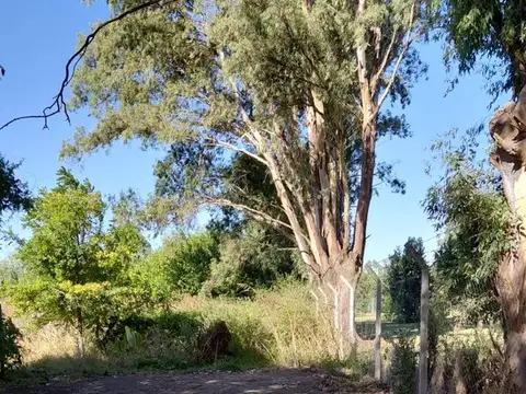 venta lote pilar entre pilar A y estancias