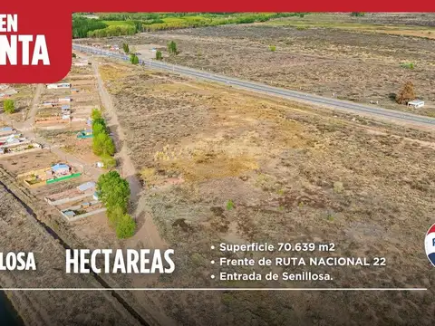 EN VENTA 7 Hectareas Frente de Ruta Senillosa