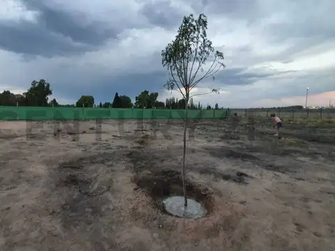 Terreno en Venta en Las Compuertas, USD 36.000