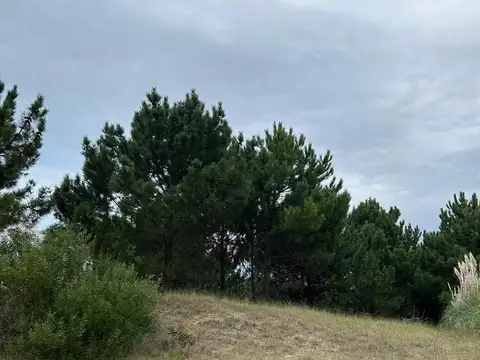 Terreno en Venta de 1000,0 m2