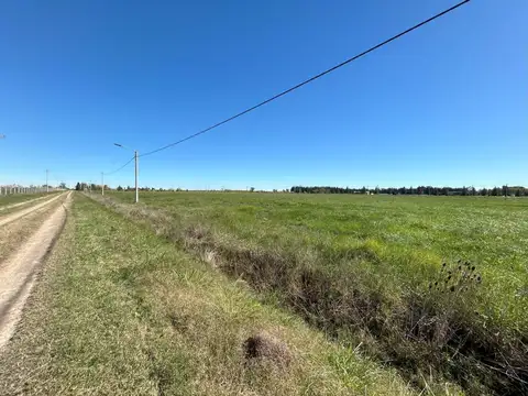 Terreno en Venta de 1833,0 m2