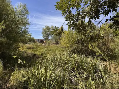 Lote para desarrollo en venta Benavidez