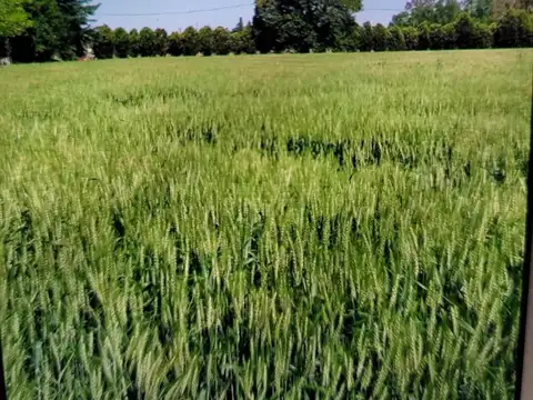 Zona Rural Santa Lucía