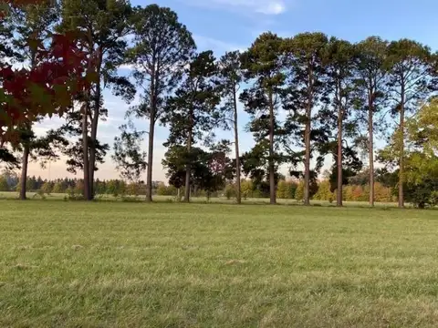 Terreno en Venta de 1557,0 m2