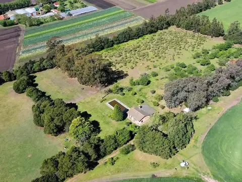 Campo en Mechongue