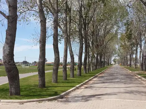 Terreno en Venta en La Alameda, USD 58.850