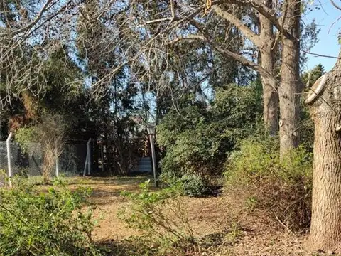 Terreno en Venta 25  mts Fondo