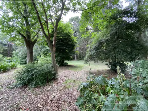 Casa Quinta en venta sobre 5 lotes con pileta 7.200mts - Brandsen