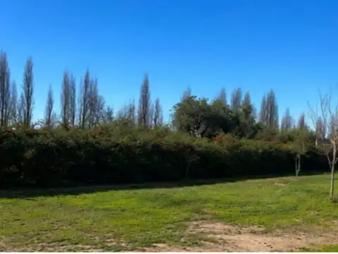 Terreno en Venta de 1598,0 m2