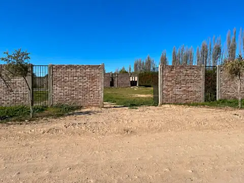 Vieytes