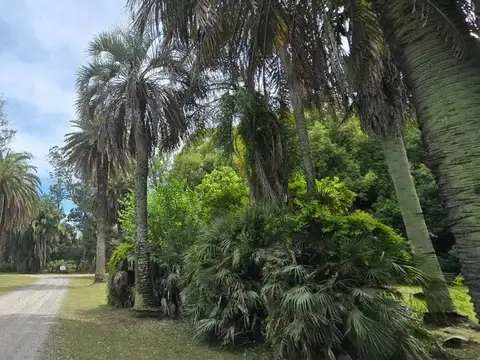 OPORTUNIDAD VENTA LOTE VILLA MARIA 4300 METROS 