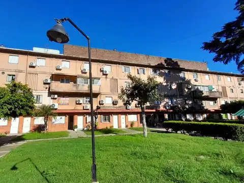 Grecco 100
