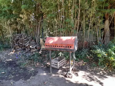 Alquiler temporario casa en Casco historico.Areco