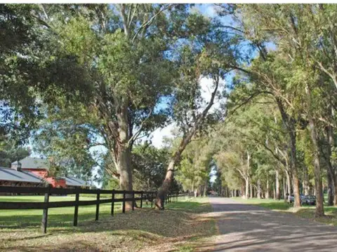 Terreno en Venta en Haras San Pablo, USD 78.000