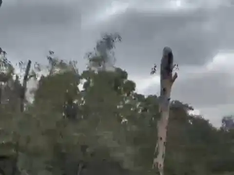 Excelente parcela de 3 hectáreas
