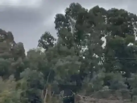 Excelente parcela de 3 hectáreas