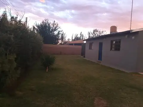 Benegas Esmeralda 1700