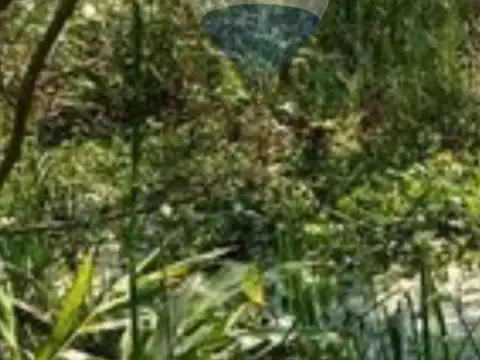 Primera Sección del Delta del Río Paraná, Partido de Escobar, Provincia de Buenos Aires