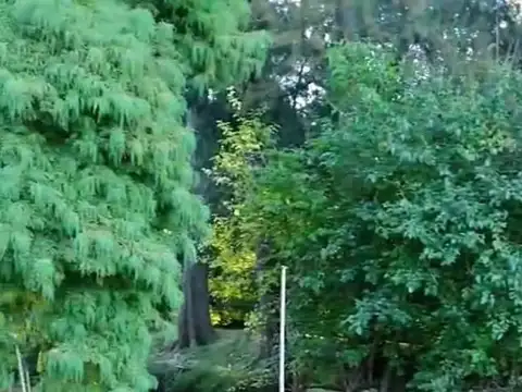 Terreno en Venta de 1600,0 m2