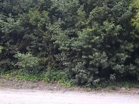 Montiel y Mariano Moreno