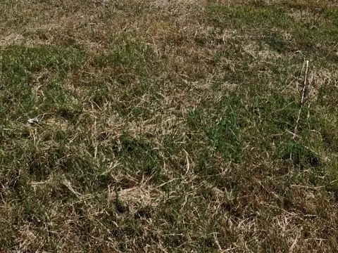 Terreno en Venta 10  mts Frente