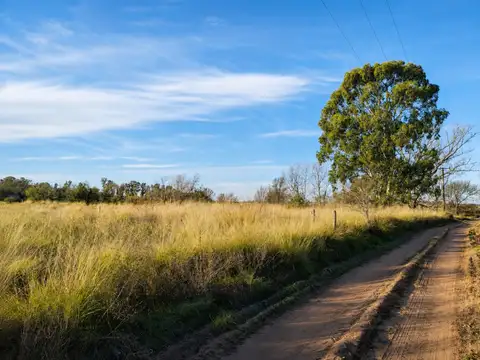 Venta de terreno Lote 4 Mza 74 en Lonquimay