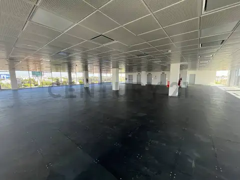 Oficina en Alquiler A Estrenar