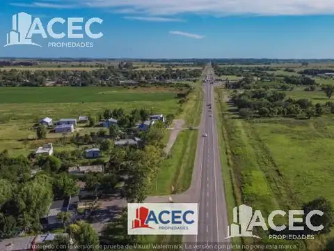 RP 18 y AO 12- Lote N° 14