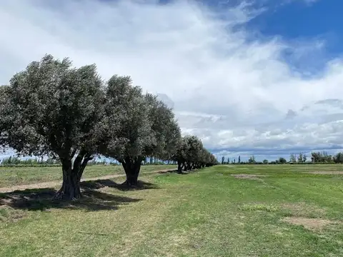 Terreno en Venta de 380,0 m2