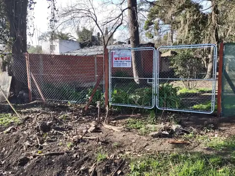 Terreno arbolado mensurado y alambrado