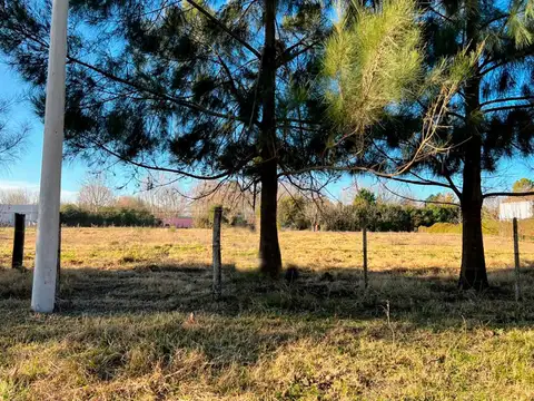 Avenida Pereyra e/ Juan Dellatorre y Lenz