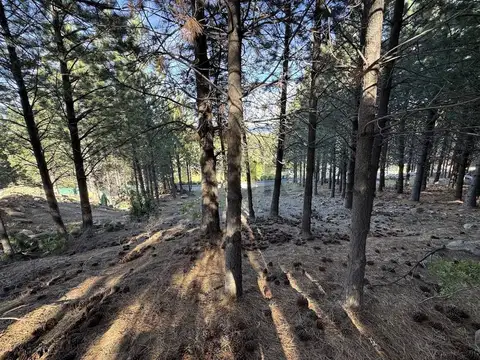 Venta Lote 2100M2 - Chapelco Golf&Resort - SAN MARTIN DE LOS ANDES