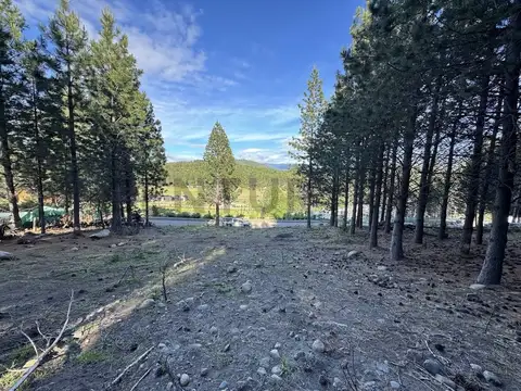 VENTA LOTE SAN MARTIN DE LOS ANDES. CHAPELCO GOLF