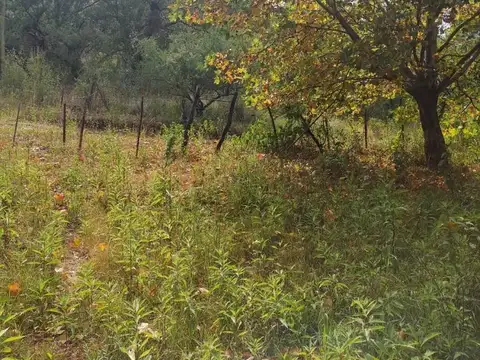 Quinta en Venta en Unquillo, USD 100.000