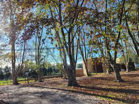 Barrio Malvinas I Coronel Brandsen , Piso 0