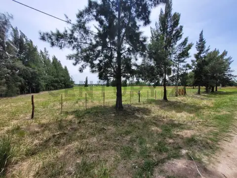 Barrio Malvinas I Coronel Brandsen , Piso 0