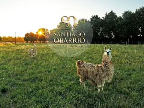 Terreno en Venta en El Argentino Farm Club, USD 320.000