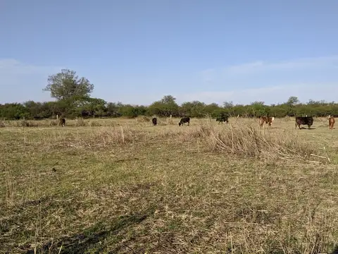 Terreno en Venta 150  mts Fondo