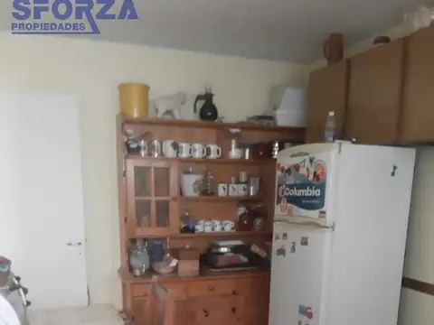 Tribulato N al 1500