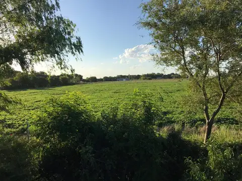 CAMPO EN VIRREY DEL PINO