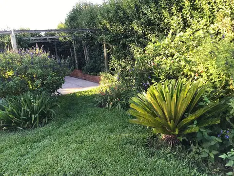 CAMPO EN VIRREY DEL PINO