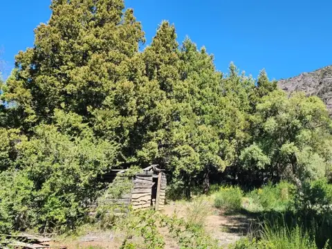 ruta 82 s/n , Piso 0