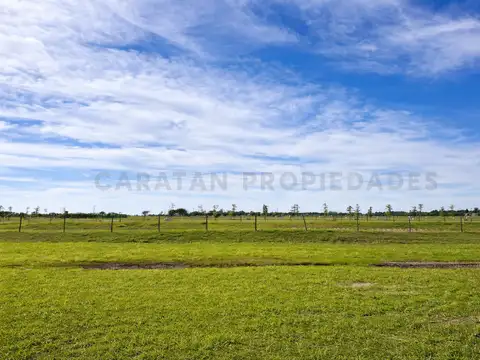 Terreno en Venta en Vida Lagoon - 962.5m2