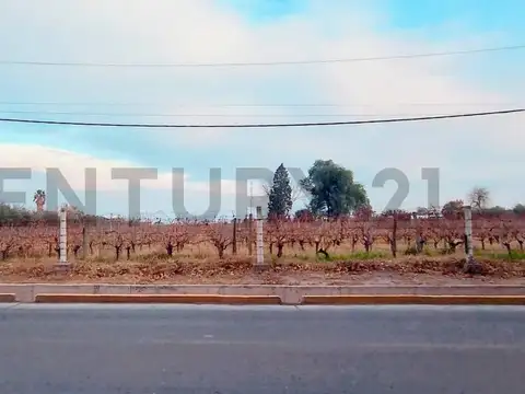 Urquiza 1500, Piso 0