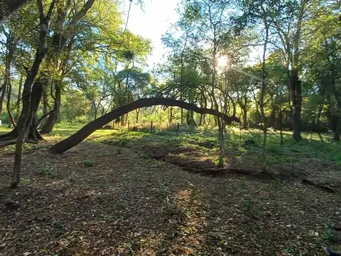 Terreno en Venta de 1000,0 m2