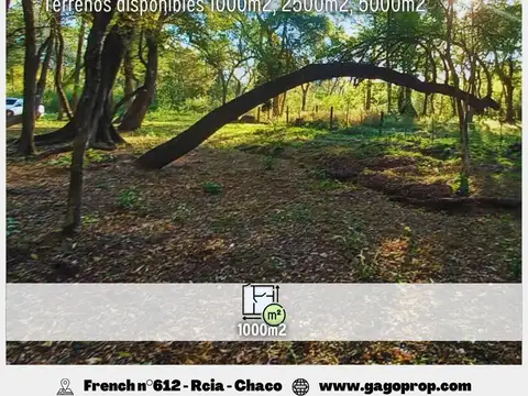 Terreno en Venta de 1000,0 m2