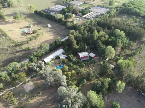 Terreno en venta - 700Mts2 - Las Casuarinas, Abasto, La Plata