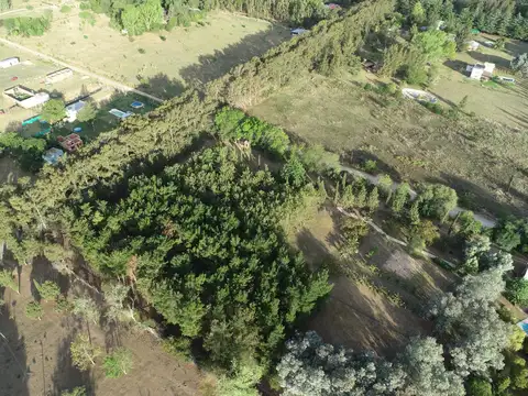 506 y 216 - Las Casuarinas